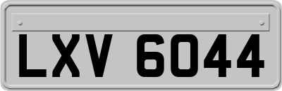 LXV6044
