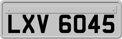 LXV6045