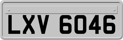 LXV6046