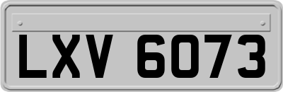 LXV6073