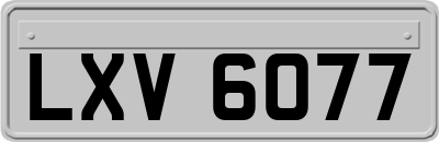 LXV6077