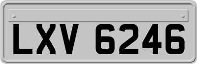 LXV6246