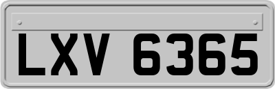 LXV6365