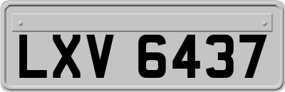 LXV6437