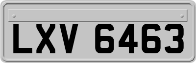LXV6463