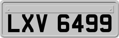 LXV6499