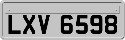 LXV6598