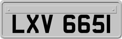 LXV6651