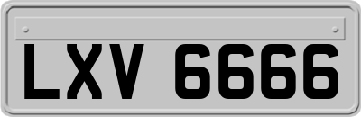 LXV6666