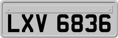 LXV6836