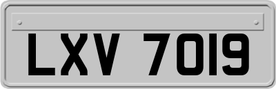 LXV7019