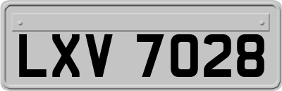 LXV7028