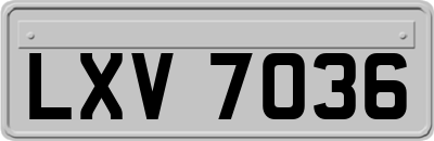 LXV7036