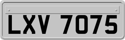 LXV7075