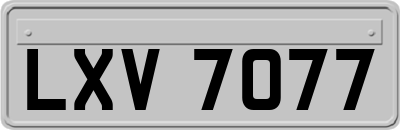 LXV7077
