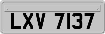 LXV7137
