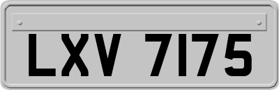 LXV7175