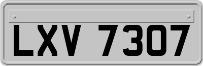 LXV7307