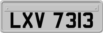 LXV7313