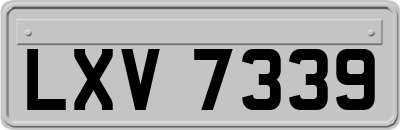 LXV7339