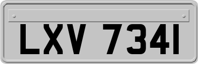 LXV7341