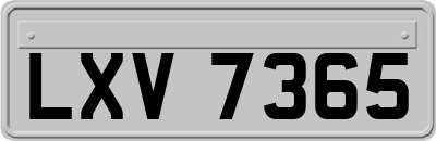 LXV7365