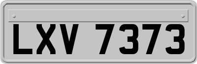 LXV7373