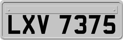 LXV7375