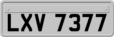 LXV7377