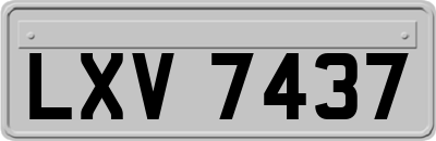 LXV7437