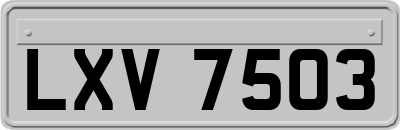 LXV7503