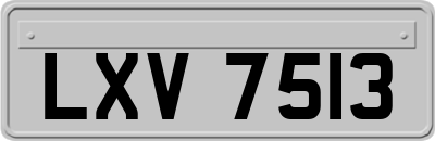LXV7513