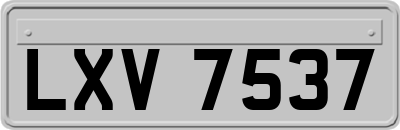 LXV7537