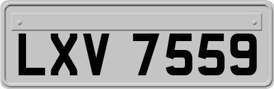 LXV7559