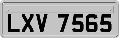 LXV7565