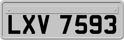 LXV7593