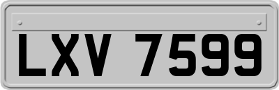 LXV7599