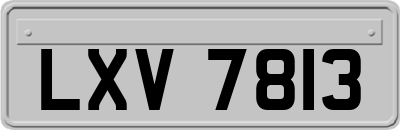 LXV7813