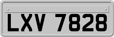 LXV7828