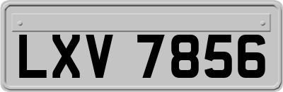 LXV7856