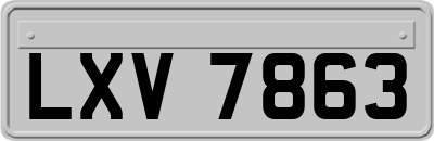 LXV7863