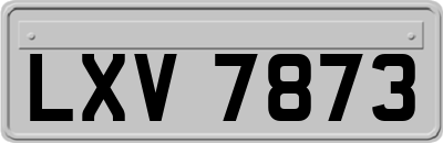 LXV7873