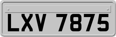 LXV7875