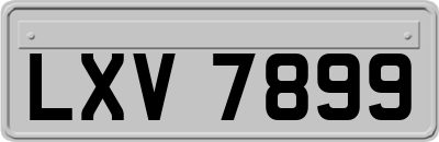 LXV7899