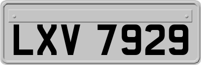 LXV7929
