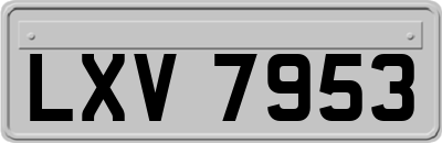 LXV7953