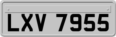 LXV7955