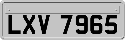 LXV7965