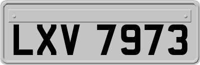 LXV7973