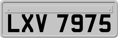LXV7975